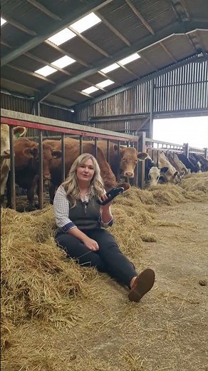 Cattle Passport Scanning in MyFarmWorks