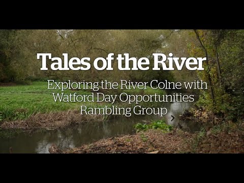 Tales of the River: Exploring with Watford Day Opportunities Rambling Group