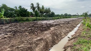 Process of fertigation setup🌶️🌶️🌶️👩‍🌾. #viral #kebunviral #modernfarming #fertigation #fertigasimalaysia #PertanianSatuPerniagaan #kebun