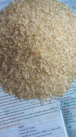 Swarna Parboiled Rice Export Quality | Bardhaman Rice Traders