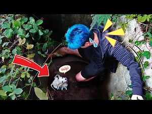 Found a puppy living in a sewer!! Found a lot of python eggs all over the area!