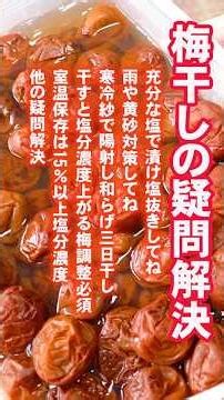 【完璧梅干し完成‼】#梅#梅干し