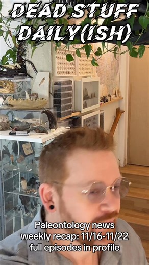 1K views | Paleontology news weekly recap! 念秊溺 #paleontology...