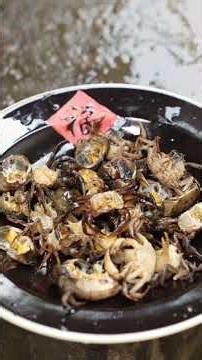 Traditional Mountain Crab & River Snail Rice Noodles | Foraging and Cooking in Nature