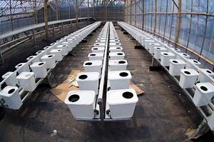 Dutch Bucket System Build: 2 Simple To Assemble Builds