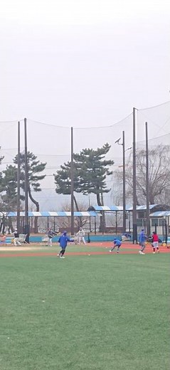 초등학교 야구 내야 선수들 수비 땅볼 포구 연습 영상 x 2026 가동초등학교 & 영랑초등학교 야구부 동계훈련 현장체크