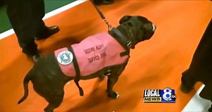 Faithful service dog walks in deceased owner's place during graduation