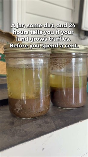 The Jar Test That Tells You If Your Land Grows Truffles