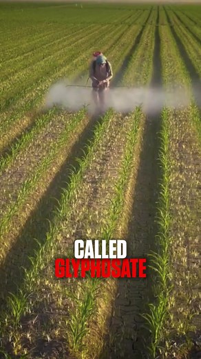 Stay AWAY from corn chips! 🌽❌