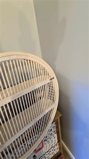 12 comments | Easiest way to transfer screw placement on a wall and level without drilling 17 holes. . . . #diycarpentry #diyhack #walldecorations #diywoodwork #woodworkingtips #northeastmakers #rhodeislandlife | Joe Palumbo | Facebook