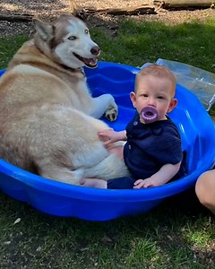 2.6M views · 10K reactions | All it took was the confidence of being an older brother ❤️凉 | Furry Tails | Facebook