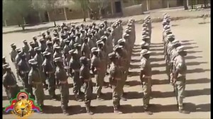 A company army unit training at Sawa A company (Haylee) is a military unit, typically consisting of 100 soldiers in Eritrea and usually commanded by a captain. Most companies are formed of three platoons (Ganta). Video credit: Eplf Hgdef Vision Room Paltalk | Eritrean Press