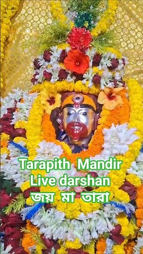 Tara Maa Live Arati & Puja Darshan 🙏 #shorts #livedarshan #tarapith