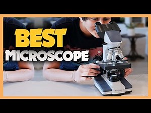 Top 8 Best Microscope 2023