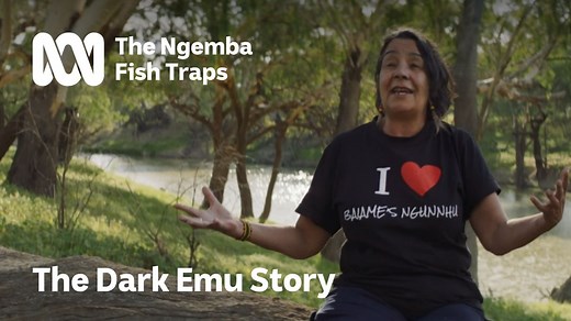 "Our people designed the fish traps, which makes us architects. Our people built the fish traps, which makes us builders. Our people looked after those waterways, which makes us river environmentalists, and also fish farming." The Dark Emu Story delves into the history of the Ngemba fish traps in Brewarrina - a place of cultural significance and genius engineering. 📺 Watch The Dark Emu Story from Tuesday 18 July at 8.30pm on ABC TV and ABC iview | ABC Indigenous