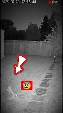 “Have You Ever Seen a Ghost Watch What These Night Vision Cameras Captured!