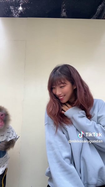 猿の可愛いトリックとダンス技