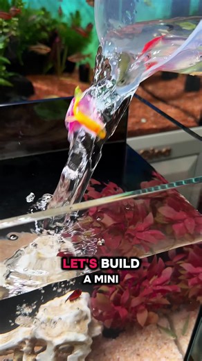 Learn how to make a desktop aquarium #diy #fyp #fishtanks