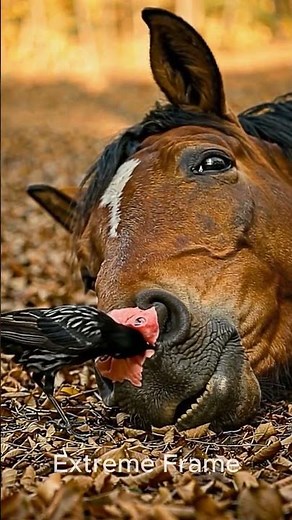 Bird helps horse #ai #animals #horse #shorts #birds