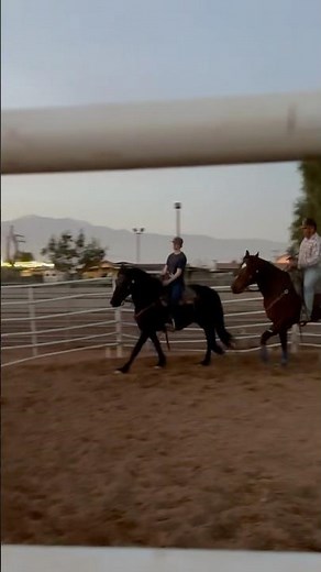 First ride on Andalusian colt / Rider: Katie Coker / Trainer: Alex McHenry / Location: Norco, CA