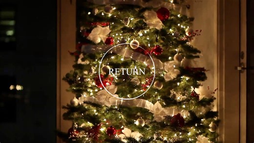 Why is CHRISTMAS on December 25th? Learn about the Pagan Origins of CHRISTMAS... Over 500 years before jesus was born, the Hebrew prophets rebuked the nation for worshipping the sun and cutting down trees just like people do at christmas. The winter solstice falls on December 21-22 and the first time the sun can be seen to rise in the sky is three days after it's "death", just like the story in the new testament. Throughout the ages winter has been a time of celebration for ancient pagan cults, 