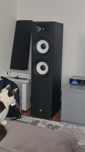 Exploring Wiimamp Ultra and JBL Stage A190 with The Cranberries