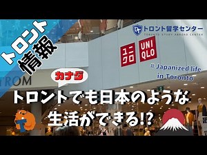 【トロント情報】トロントでも日本のような生活ができる!? Japanized life in Toronto #カナダ留学