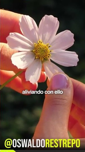 El RELAJANTE GÁSTRICO Natural - Oswaldo Restrepo RSC