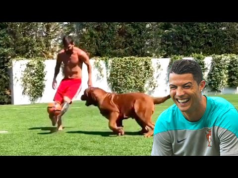 Best Soccer Football Vines 2020 - Goals, Skills, Fails