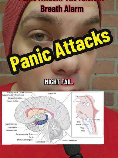 Inside your brain, an ancient survival alarm monitors CO2, not oxygen. This system evolved to detect threats like suffocation, triggering urgent panic responses when CO₂ levels become unstable. But during panic attacks, this alarm misfires, often because breathing too fast lowers CO₂, fooling your brain into thinking you’re suffocating. Understanding this can change how we see anxiety! Nattie, E., & Li, A. (2022). Central chemoreceptors: Locations and mechanisms. Journal of Applied Physiology, 1
