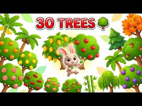 ABC Phonics Song | 30 Trees for Kids 🌳 | Toddlers Learning Video