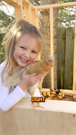 This DIY "Chicken Tractor" is the Ultimate Low-Budget Farm Flex❗️ 🐓💨