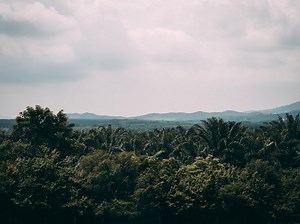 Luxury Bus From Kuala Lumpur To Singapore: How To Get From KL To Singapore