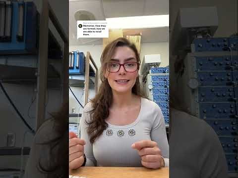 How does the brain make memories? Neuroscientist answers.