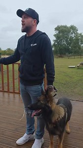 179K views · 2.5K reactions | #Repost @southenddogtraining Make sure you wait for the behaviour you actually want and like before giving your dog what they want  #dogtraining Want to book a dog training session?  Give our office a call on 01702 74 69 61 or visit  www.southenddogtraining.co.uk to get started! | Southend Dog Training | Facebook