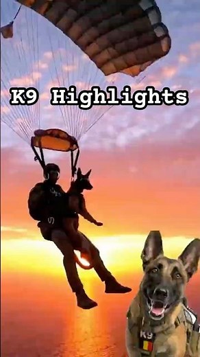K9 Parachute Highlights – Belgian Malinois Sky Drops!
