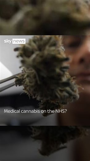 17K views · 26 reactions | How close are we to seeing medical cannabis prescribed by the NHS? Five years since medical cannabis became legal in the UK patients are potentially missing out on the huge benefits it could bring due to an almost total lack of research into the drug - but one medical cannabis group is trying to change that.  Link in bio for more #cannabis #NHS | Sky News | Facebook