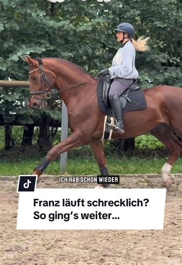Trude 🥹😭 Kann es immer noch nicht fassen 🤍 IG: franziskaelea #pferd #pferde #sport #franziskaelea #reitsport