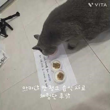 아카나 캣 청크 습식 사료 체험단 후기 #제품제공 #고양이 #체험단 #협찬 #고양이사료 #고양이간식