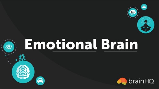 Emotional Brain