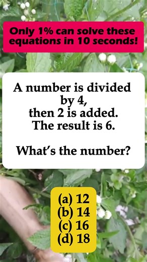 🔢 Number ÷ 4, then +2 = 6 – Find the Number! #shorts
