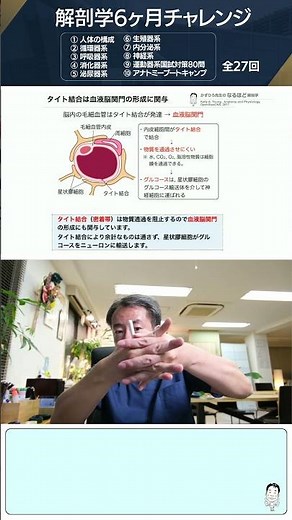 【#NationalExam1MinuteDojo】The mechanism of the blood-brain barrier by tight junctions and astrocy...