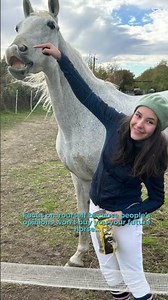 Yea ❤️‍🩹💖 #fun #funny #relatable #equestrianlife #mylife #fypシ゚viral #youtube #sunny