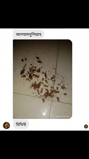 Insect control on Reels