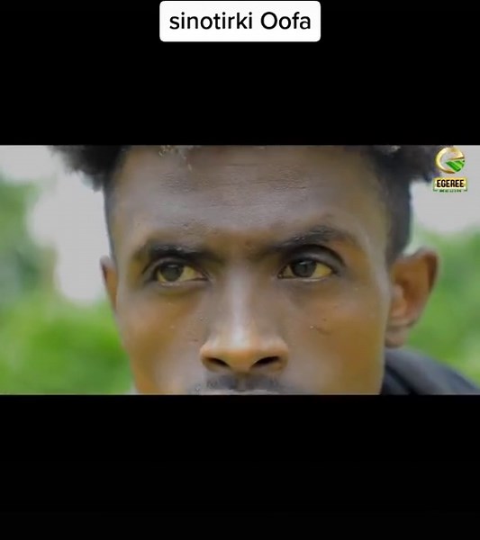 WWE K (@nagaa802)’s videos with original sound - WWE K