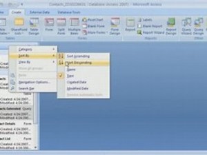 Access 2007 Demo: The Navigation Pane