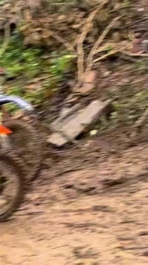 Videos de MONTENEGRO HEYDITA (@montenegroheydita) con “sonido original - David🤴🏻”