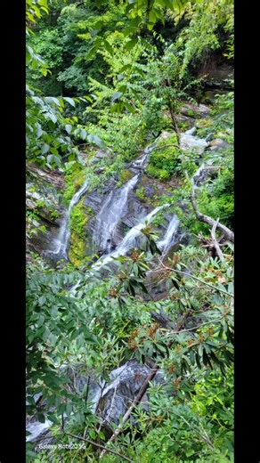 Kbella23 (@kbella828)’s videos with original sound - ~🌸Hafsa~🌸