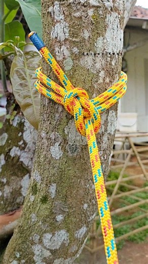 Tips & trick #knot #rope #a #diy #camping #outdoor #tutorial #virals | Casper Knot