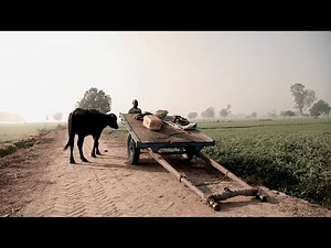 Impact Evaluation Essential: A Closer Look at Randomised Controlled Trials